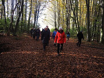 onderweg tijdens de Woensdag Wandeldag